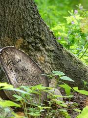 Waldbestattung